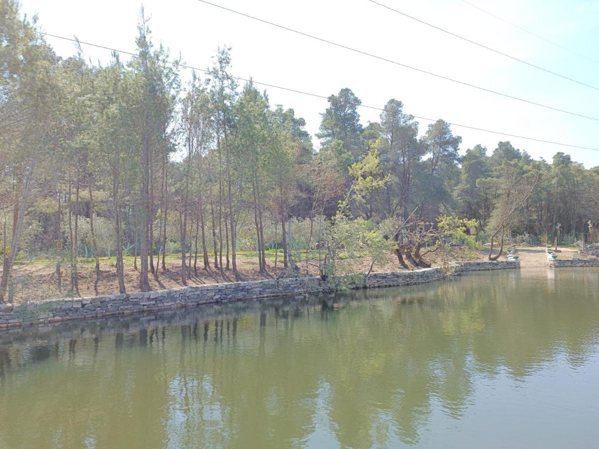 فندق Kavalona Park فلورا المظهر الخارجي الصورة